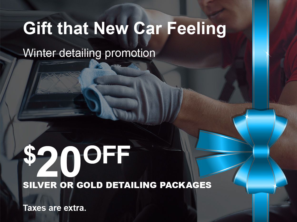 Detailing Service Special