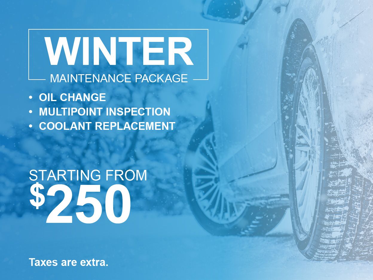 Winter Maintenance Package Special