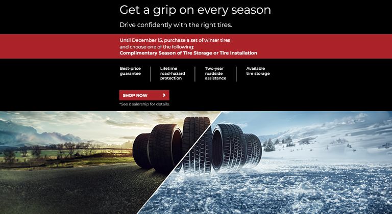 Get a grip on every season (Early Bird Offer))