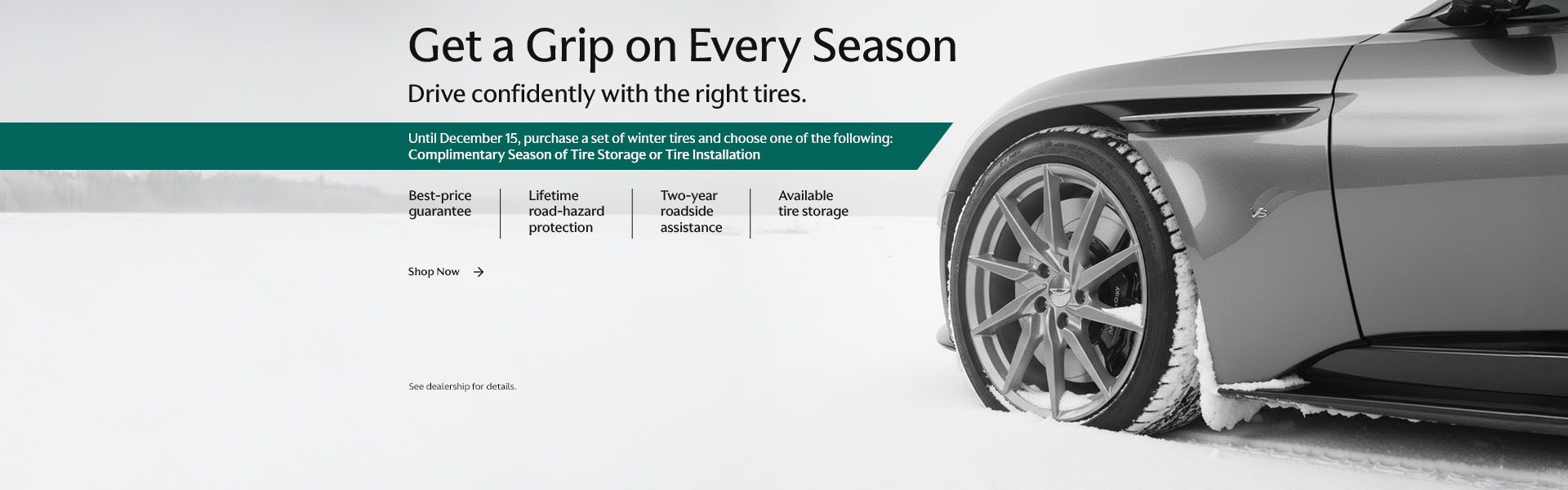 Get a grip on every season (Early Bird Offer)) (Copy)