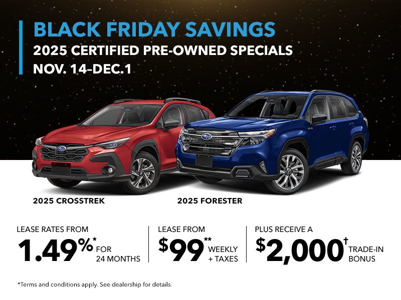 Black Friday Savings