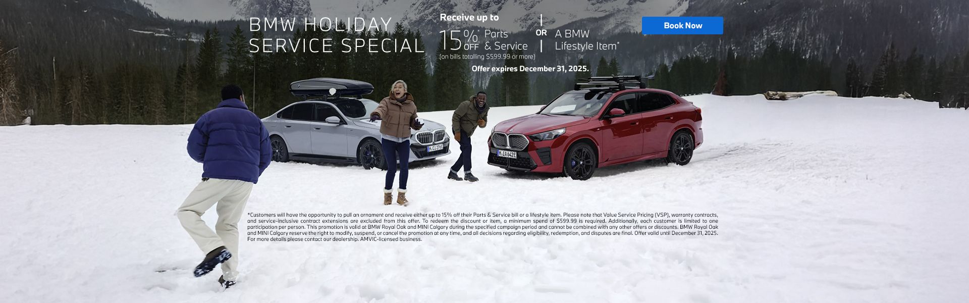 BMW Holiday Service Special