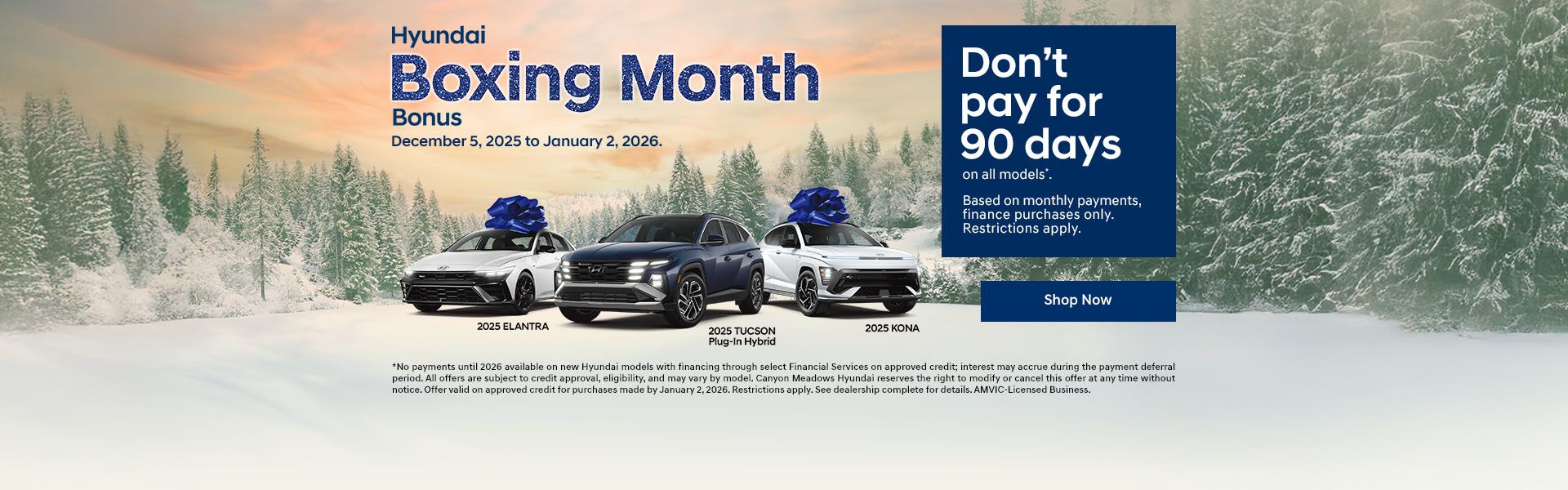 Hyundai Boxing Month Bonus
