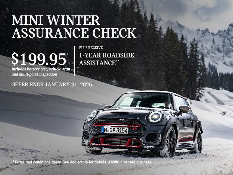 MINI Winter Assurance Check