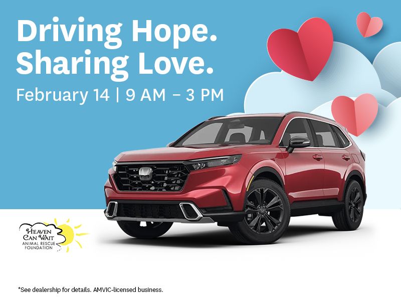 Driving Hope. Sharing Love.