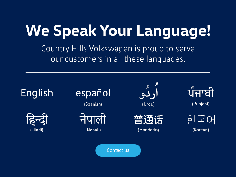 Multilingual Team
