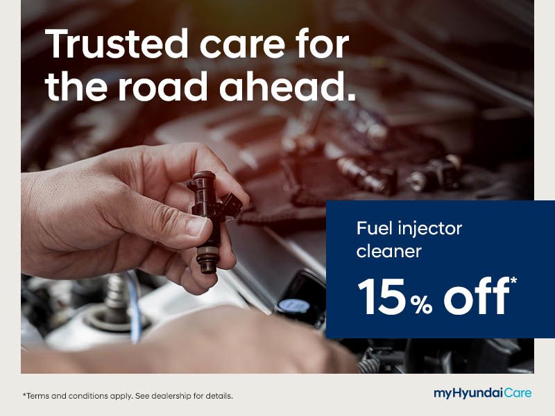 Fuel Injector Cleaner 15% Off