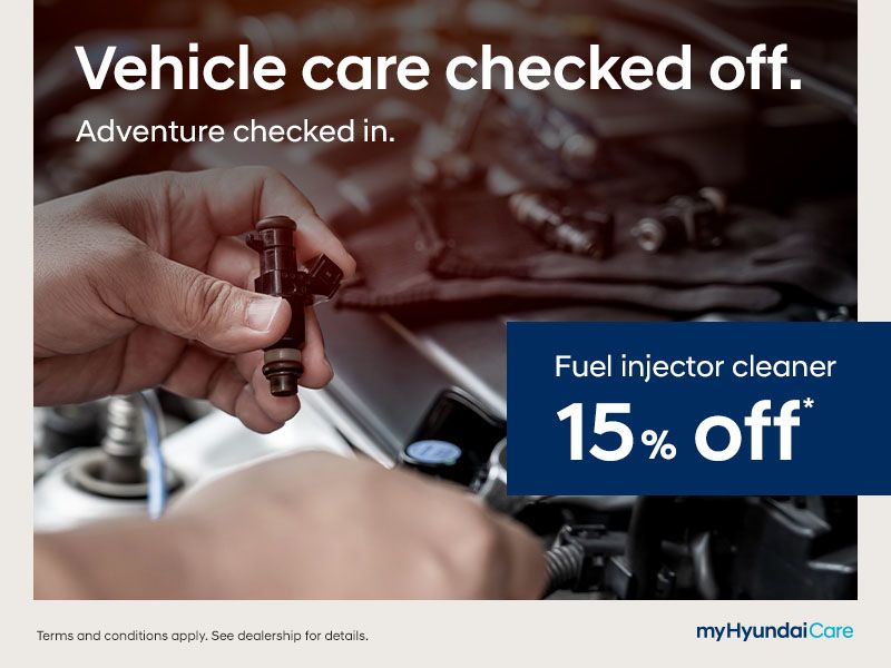 Fuel Injector Cleaner 15% Off