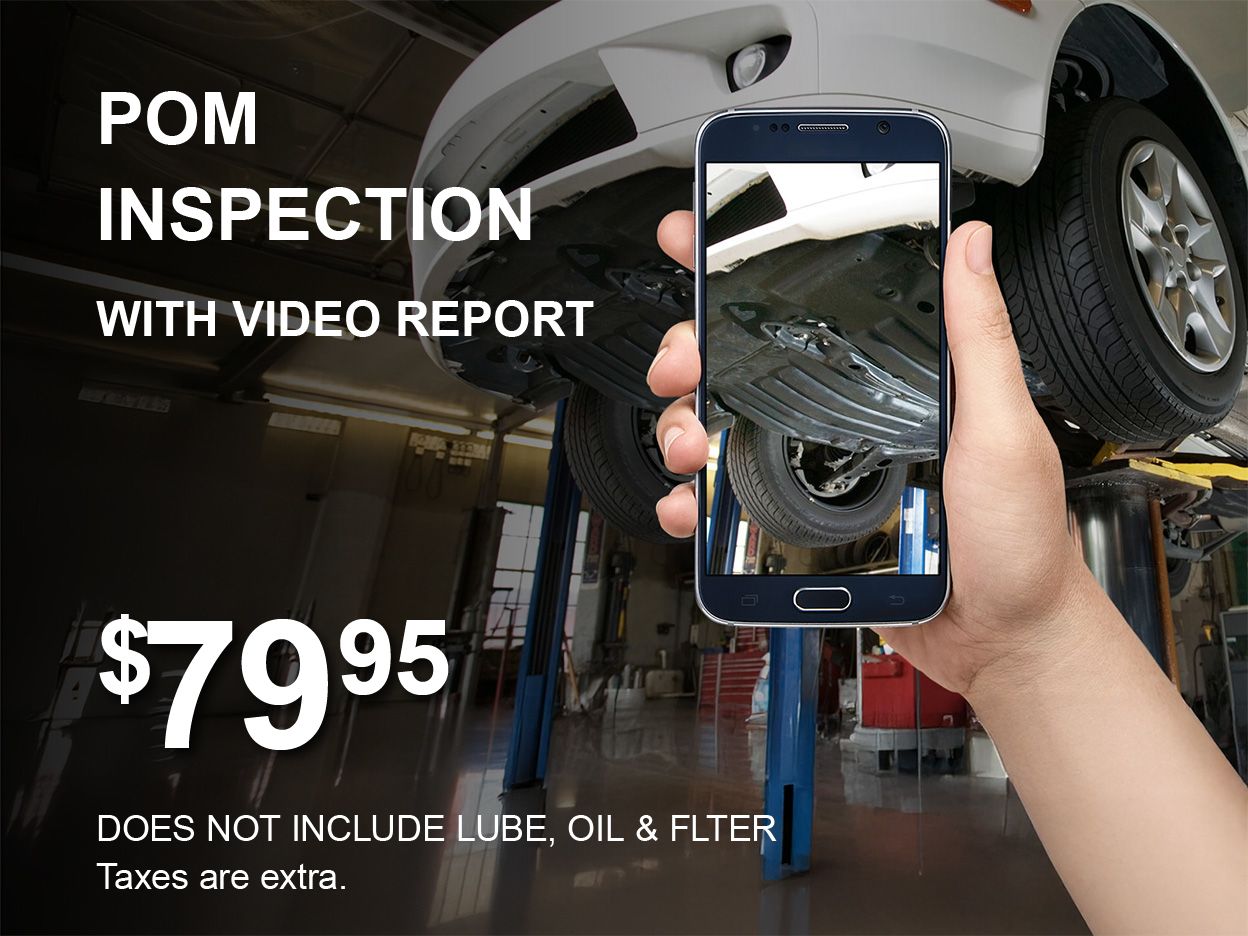 POM Inspection & Video Report Special