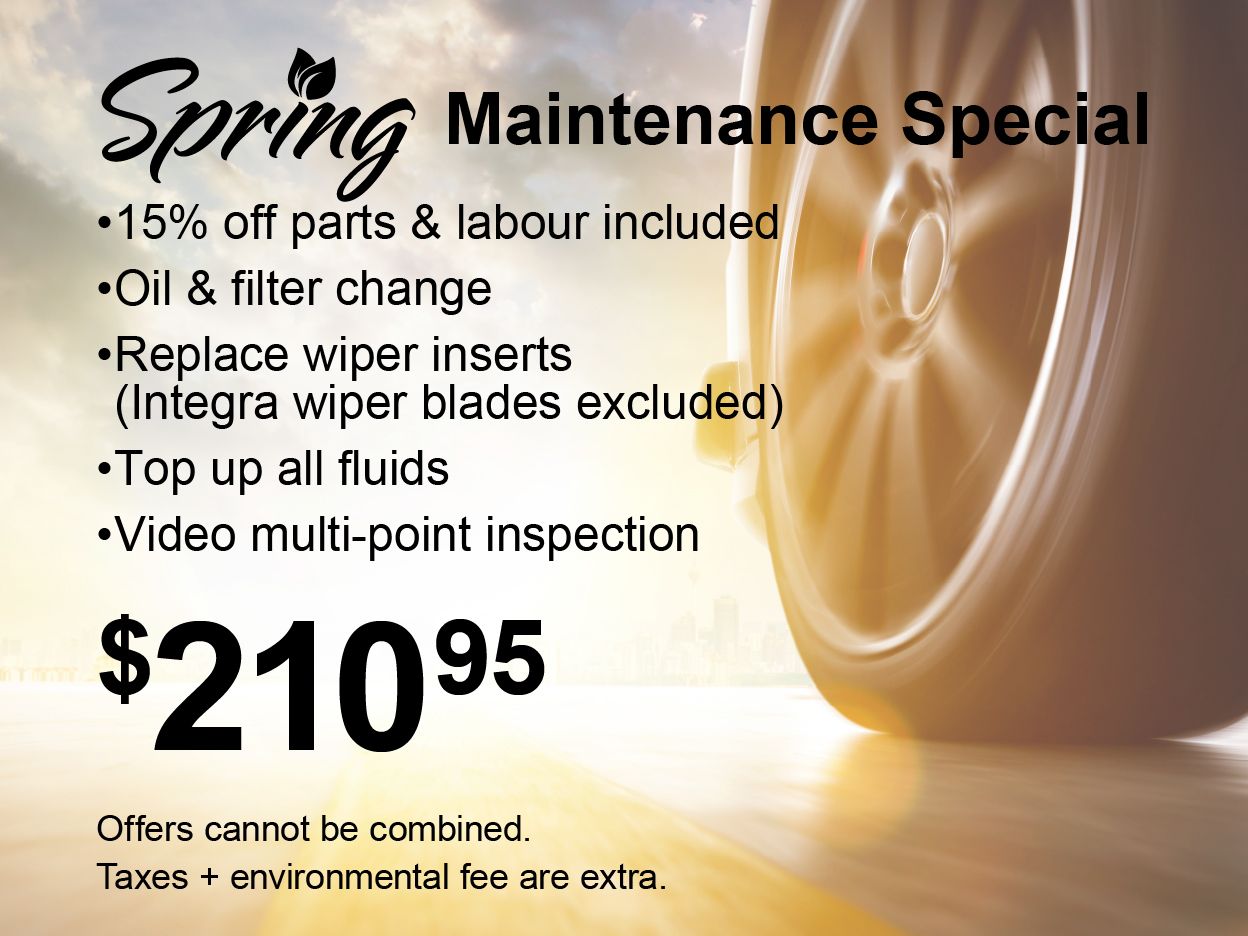 Spring Maintenance Special