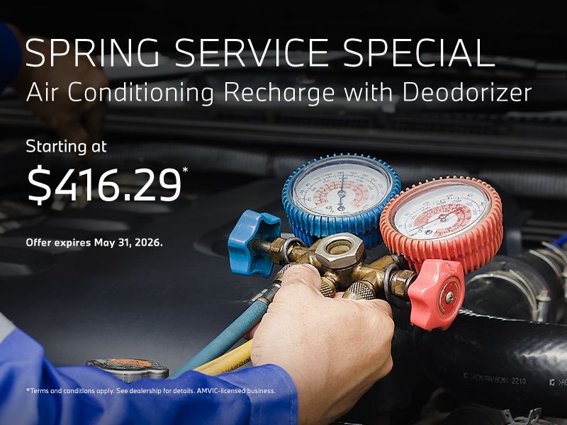 Spring Service Special