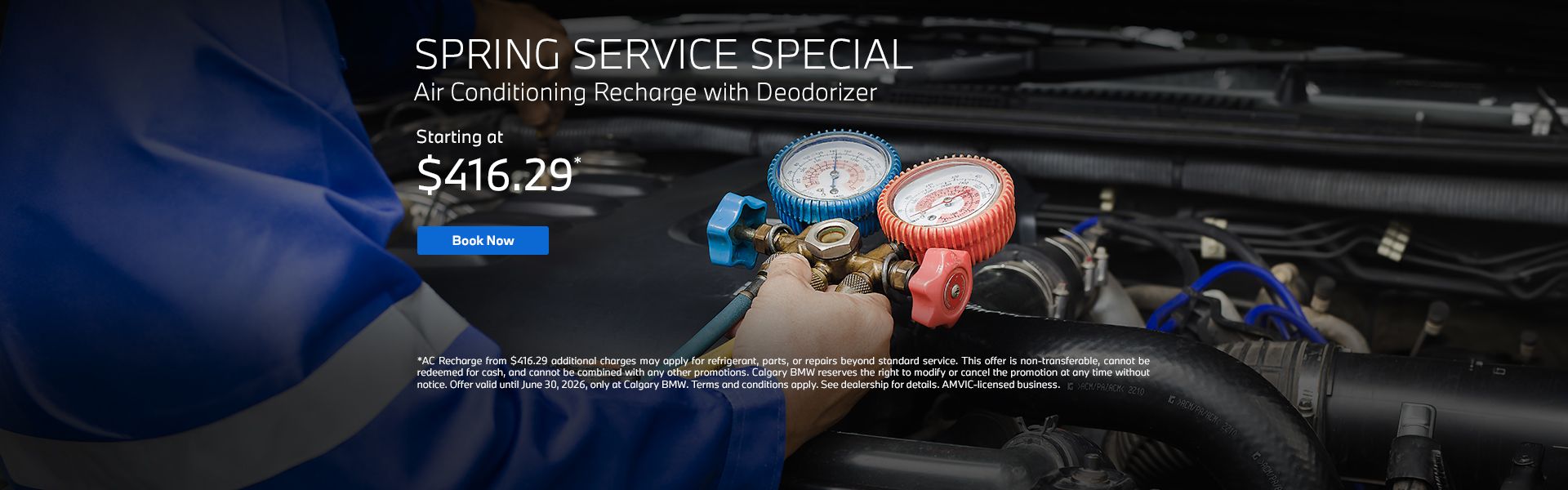 Spring Service Special