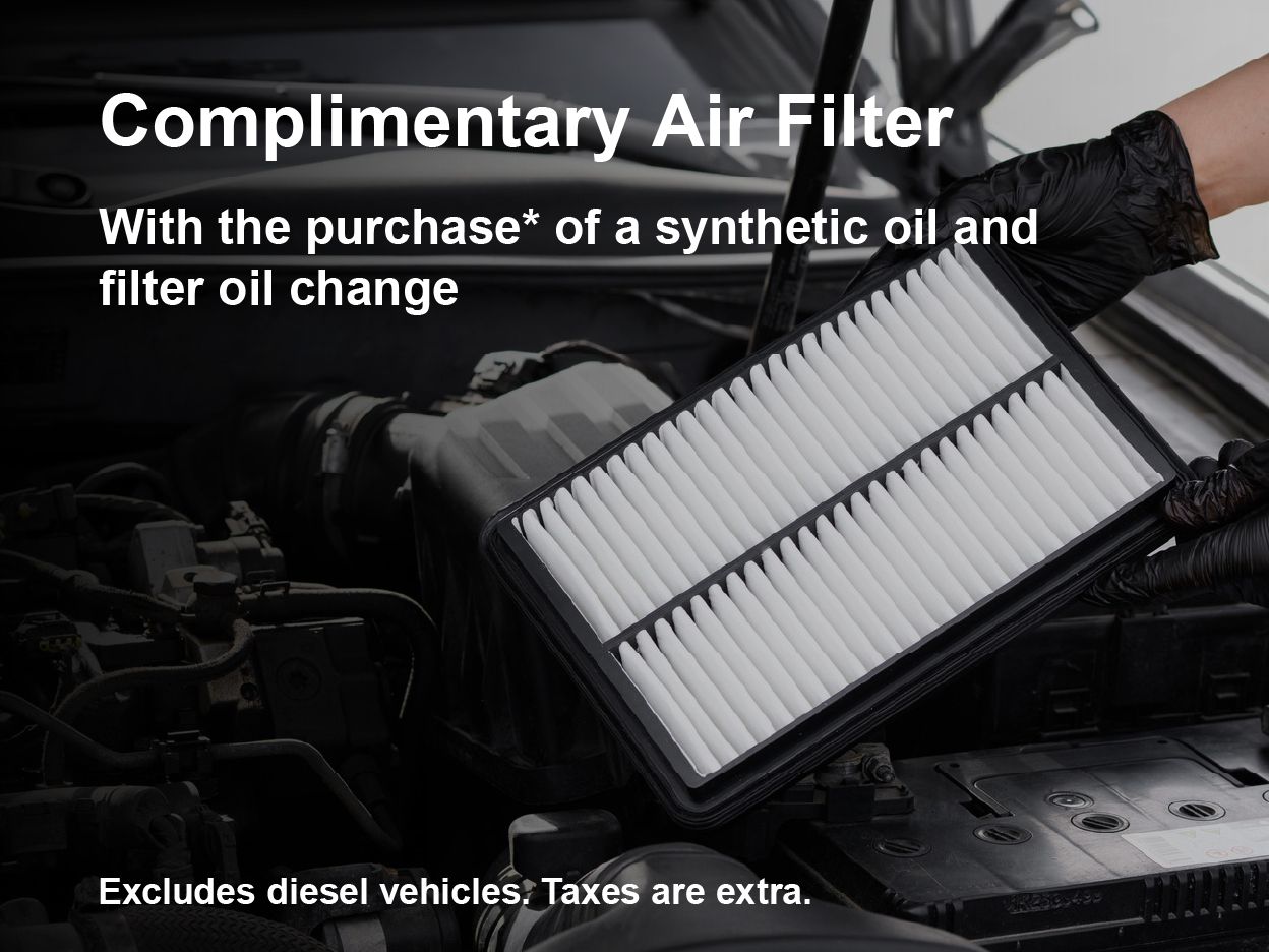 Oil Service with Air Filter Special