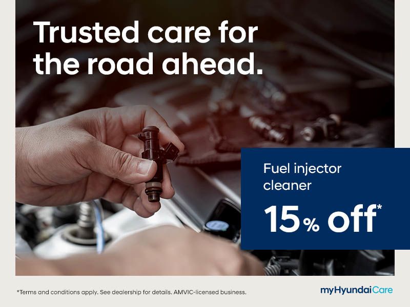 Fuel Injector Cleaner | 15% off