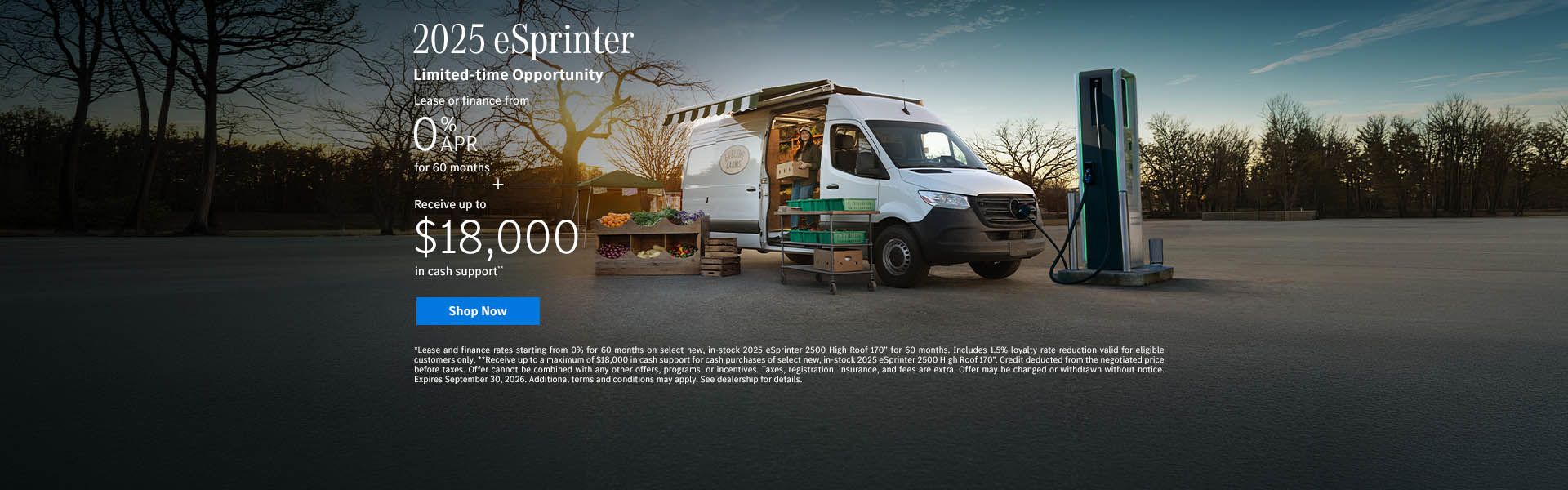 2025 eSprinter