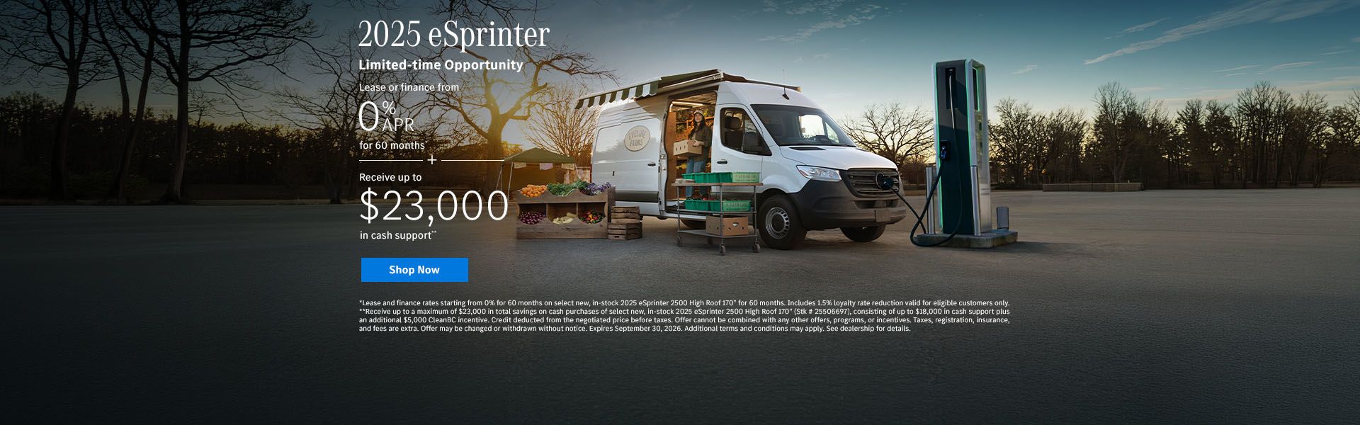 2025 eSprinter