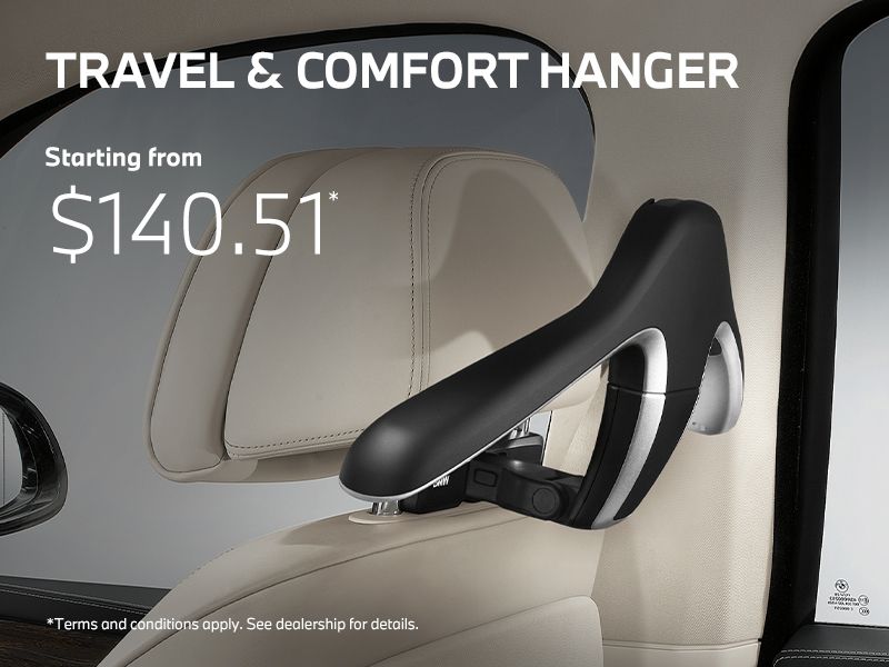 Travel & Comfort Hanger