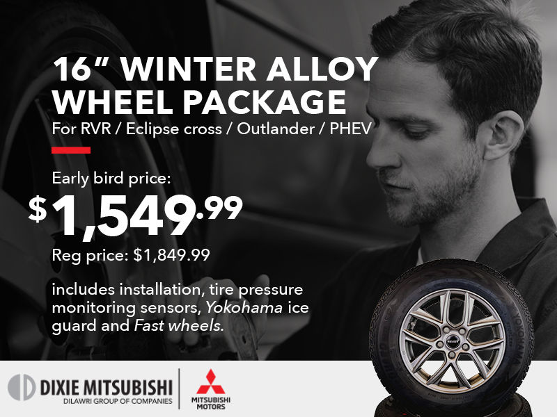 16 inch Winter Alloy Wheel Package