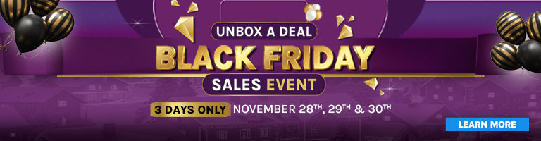 Black Friday Sale (Under Hero)