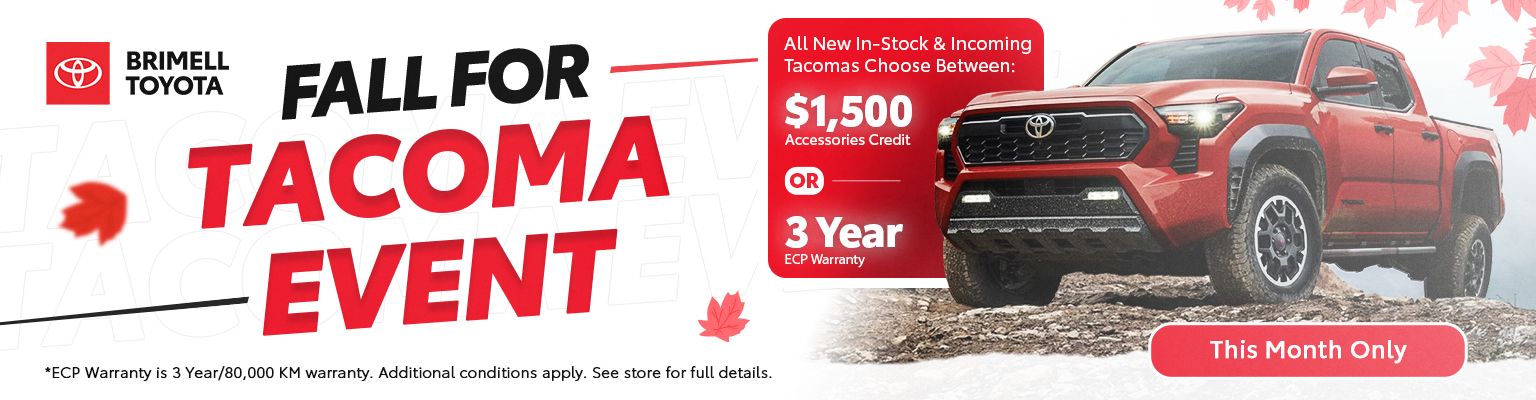 Fall For Tacoma Sale