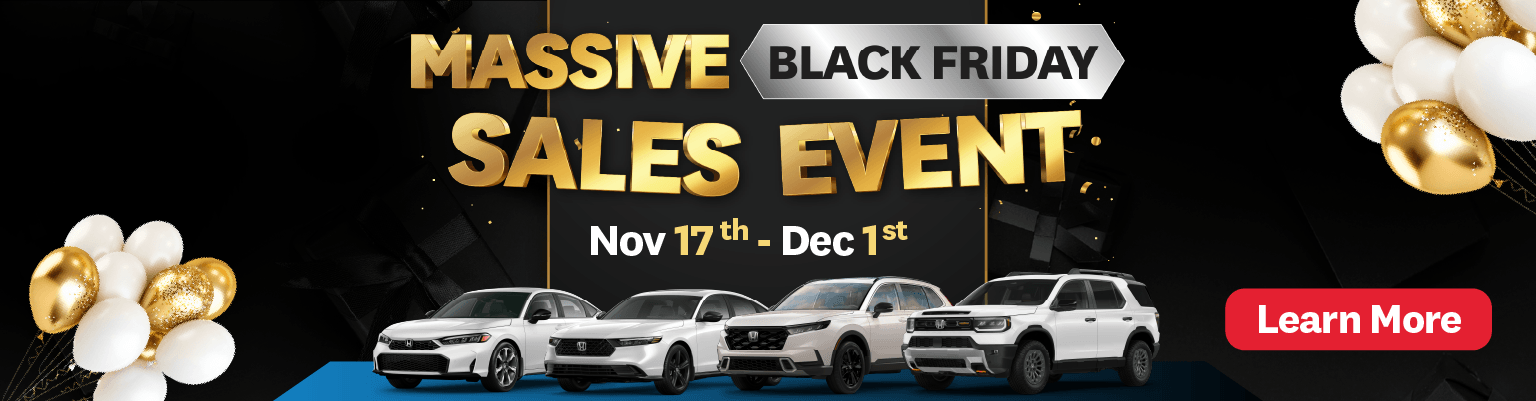 Massive Black Friday Sales Event