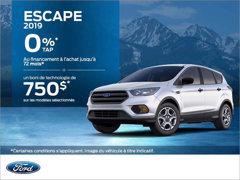 Ford Escape 2019!