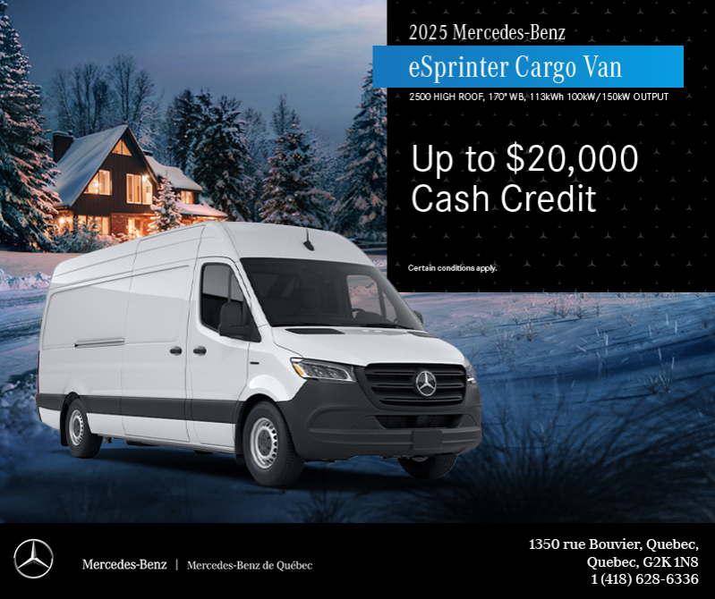 2025 eSprinter Cargo Van