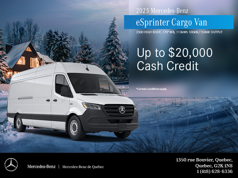 2025 eSprinter Cargo Van