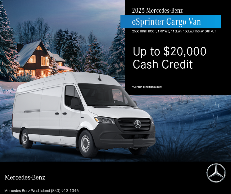 2025 eSprinter Cargo Van
