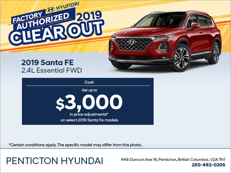 Get the 2019 Sante Fe!