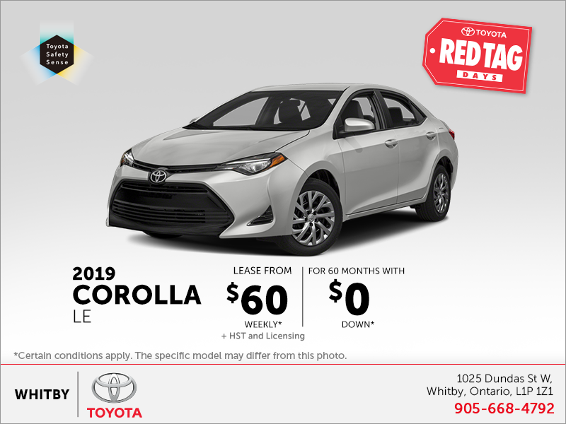 2019 Toyota Corolla