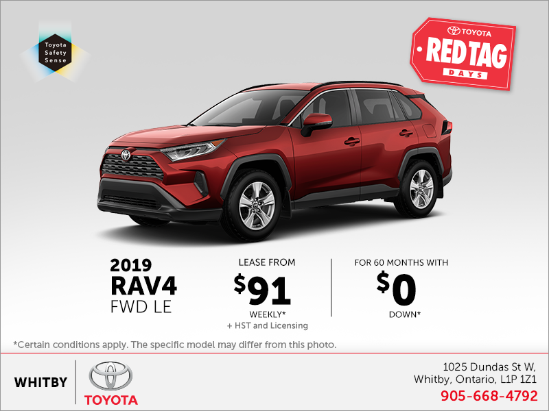 2019 Toyota RAV4