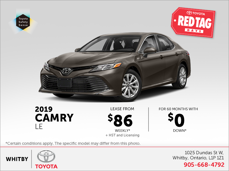 2019 Toyota Camry