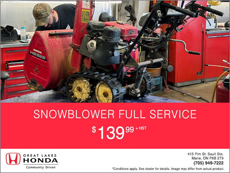 Snowblower Full Service