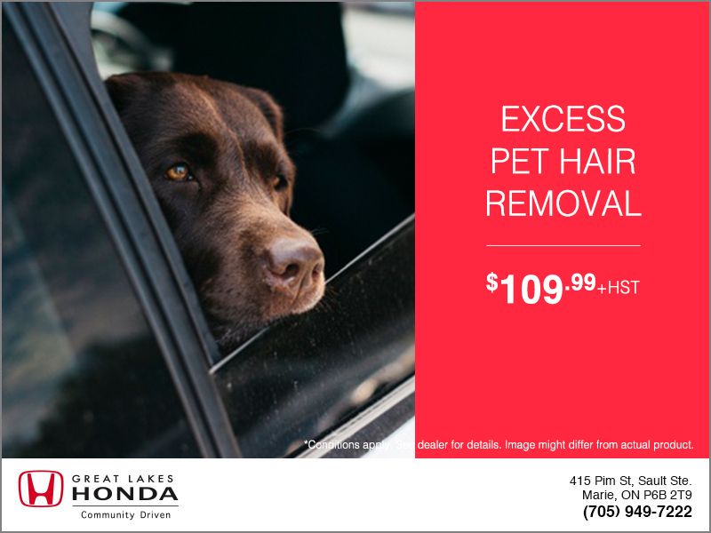 Excess Pet Hair Removal