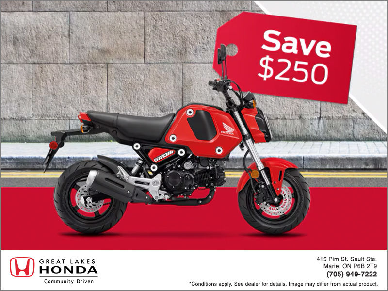 2023 Grom (In Stock)