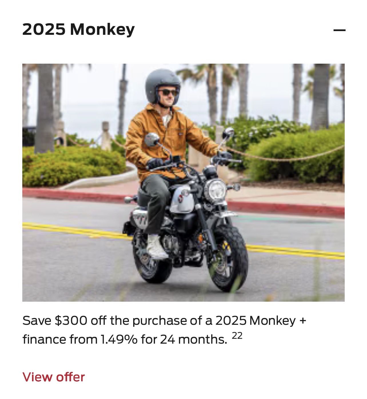 2025 Monkey [in Stock]