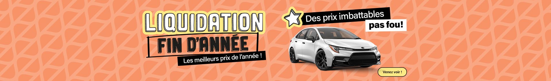 Liquidation fin d'année Véhicules usagés