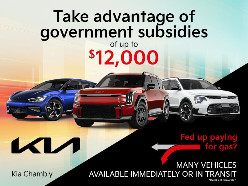 Government subsidies for electric vehicles