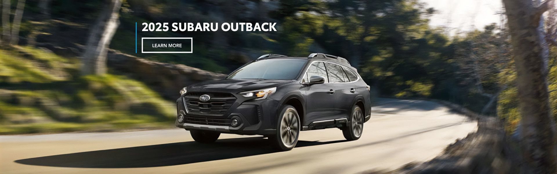 2025 Outback 2025 Outback
