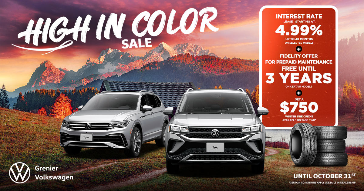 HIGH IN COLOR SALE !