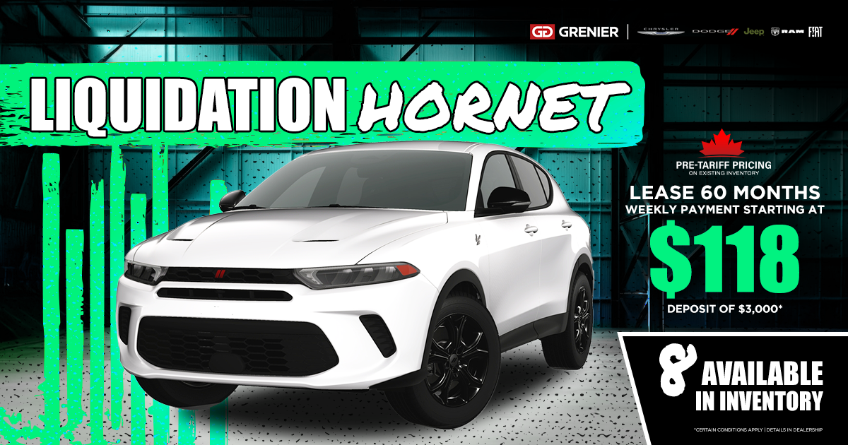 HORNET LIQUIDATION !