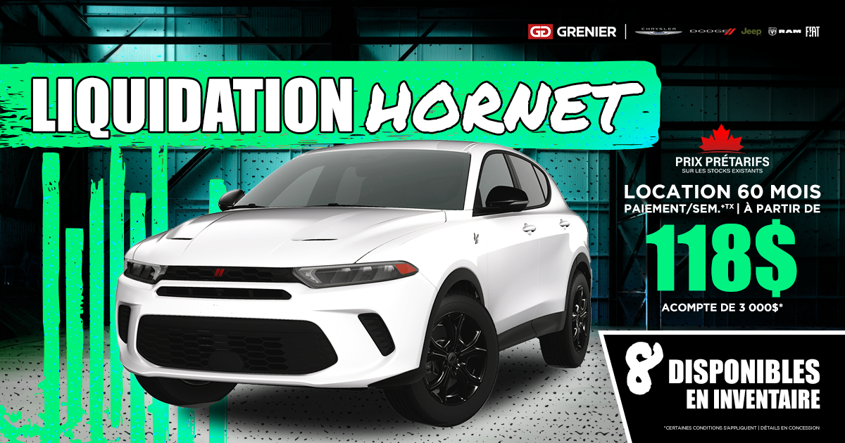 LIQUIDATION HORNET !