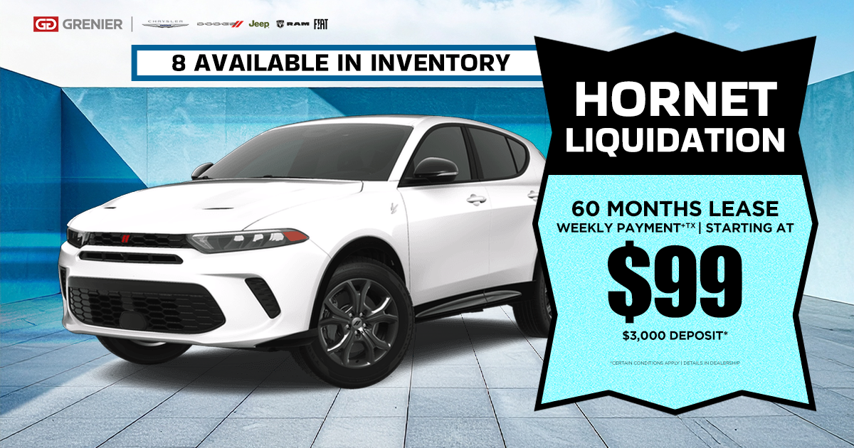 HORNET LIQUIDATION !