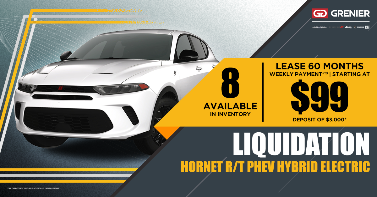 HORNET LIQUIDATION !