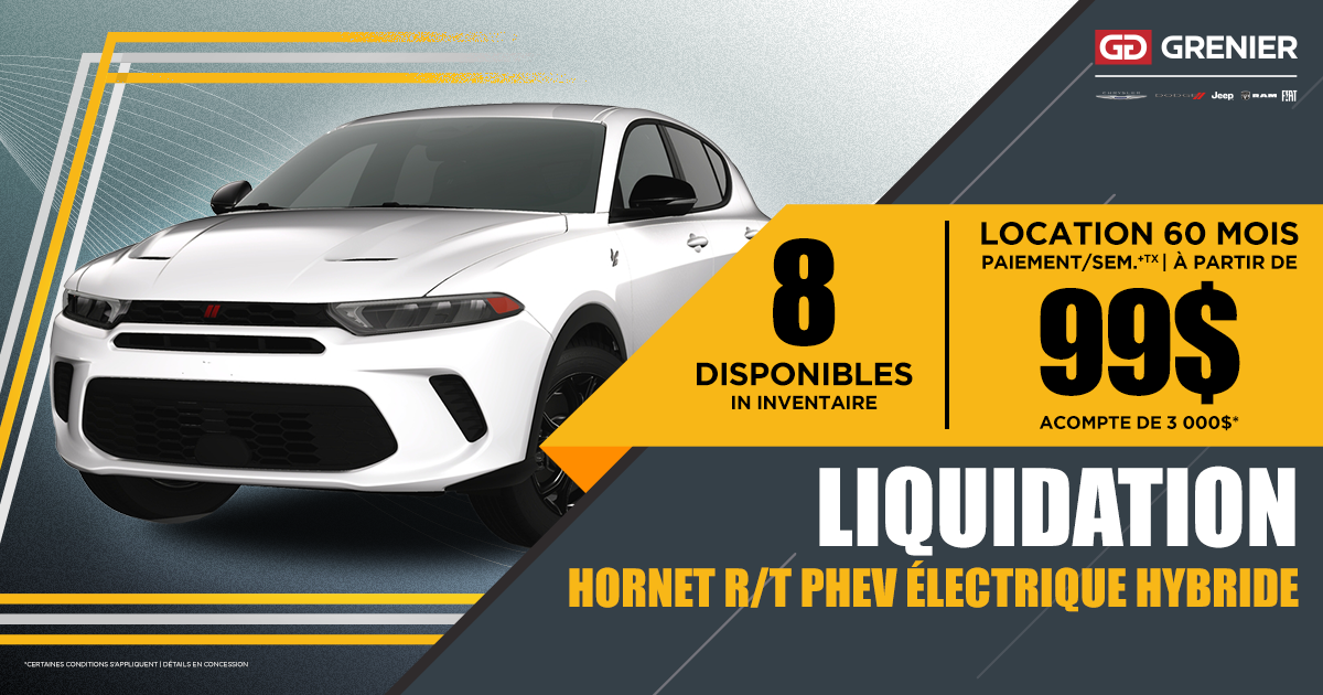 LIQUIDATION HORNET !