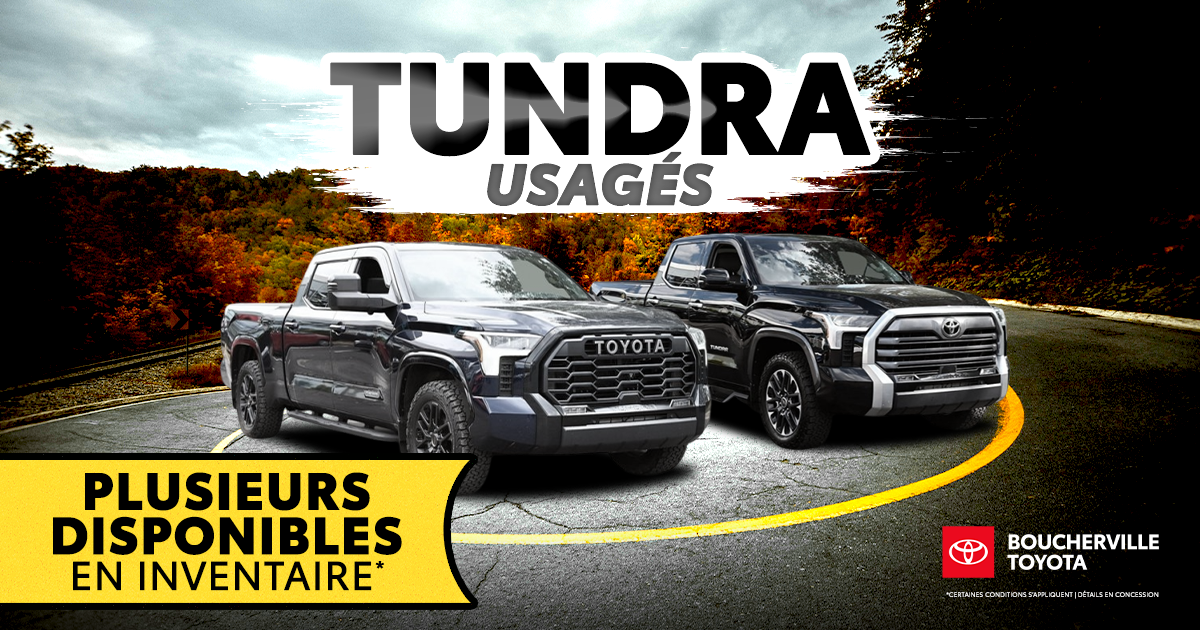 TUNDRA USAGÉS DISPONIBLES !
