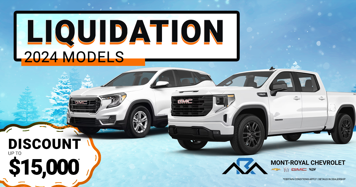 MEGA SALE ON OUR 2024 MODELS !