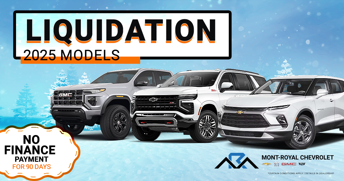 MEGA SALE ON OUR 2025 MODELS !