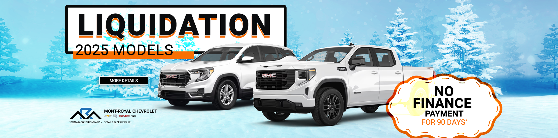 MEGA SALE ON OUR 2025 MODELS !